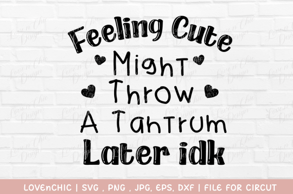 Reviewing Feeling Cute Might Throw a Tantrum Later